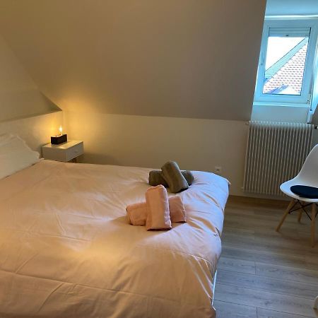 Ferienwohnung Les Moulins Tres Agreable Et Idealement Situe Colmar Exterior foto