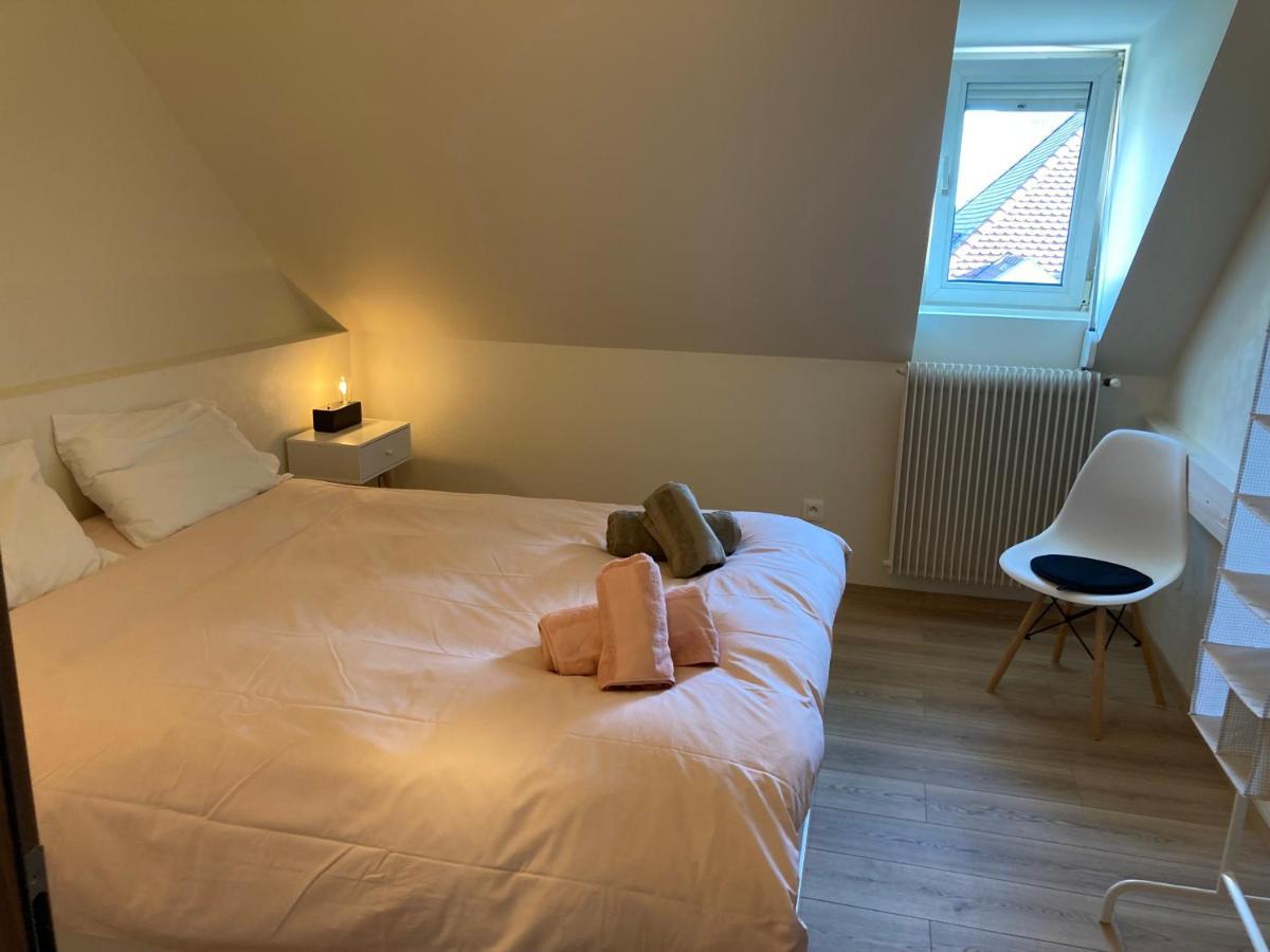 Ferienwohnung Les Moulins Tres Agreable Et Idealement Situe Colmar Exterior foto