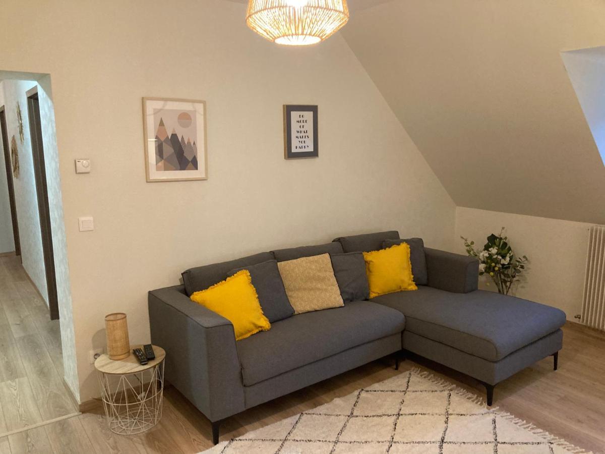Ferienwohnung Les Moulins Tres Agreable Et Idealement Situe Colmar Exterior foto